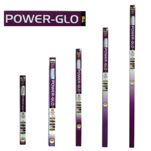 Power glo t8