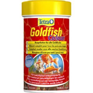 Tetra Goldfish Colour