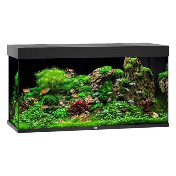 Juwel Akvarium LED Rio 350 121x51x66cm 350L