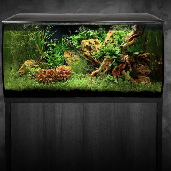 Fluval Flex Led 123ltr akvariesett