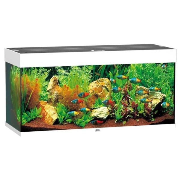 Juwel Akvarium LED Rio 180