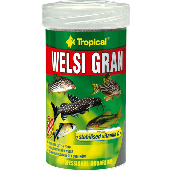 Tropical Welsi Gran