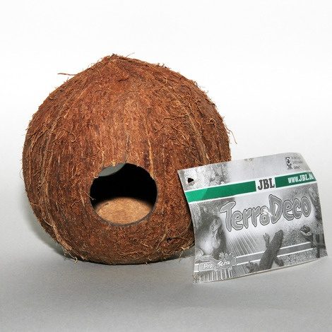 JBL Kokoshule-Cocos Cava