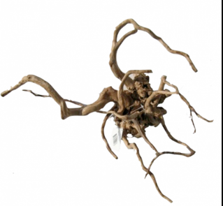 Desert Root M 30-43 cm