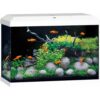 Juwel akvarium Primo 70ltr 2.0 61x31x44cm